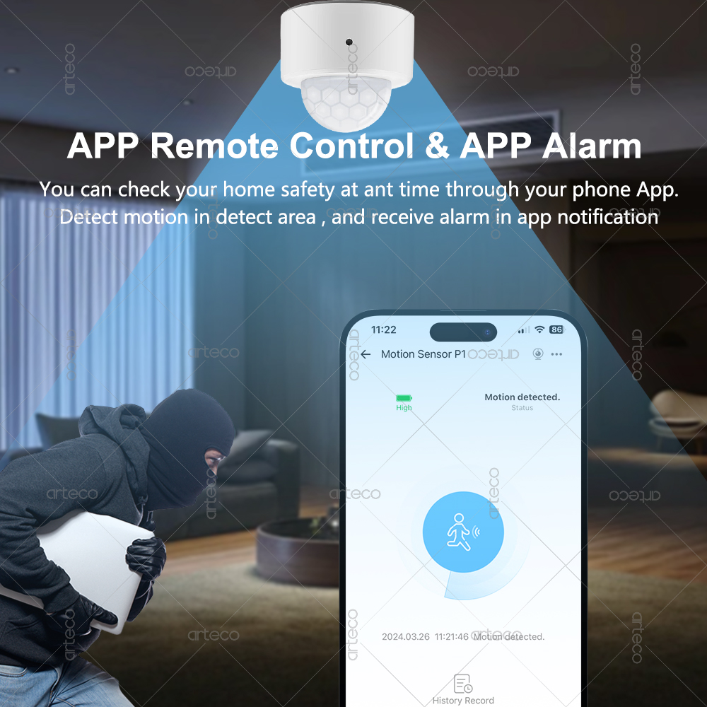 Ewelink Zigbee PIR محس حركة حر - مراجعة Smart Home Security وسعره