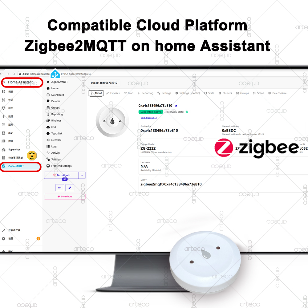 Tuya الذكية زيجبي المياه الاست - مراجعة Smart Home Features وسعره